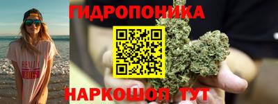 a pvp Можга