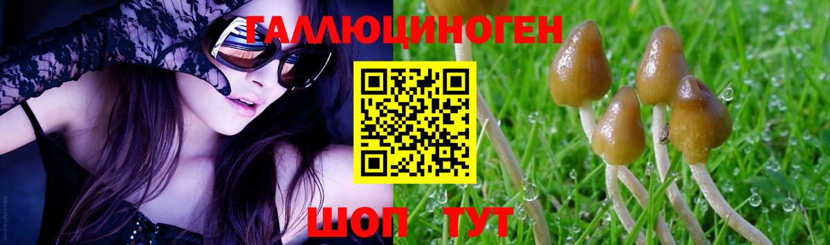 Галлюциногенные грибы Magic Shrooms  Вход с VPN  Сегежа  Псилоцибиновые грибы Magic Shrooms 